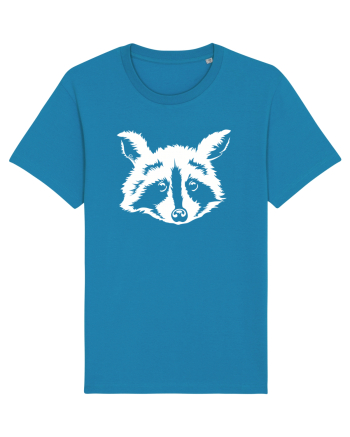 Raccoon Azur