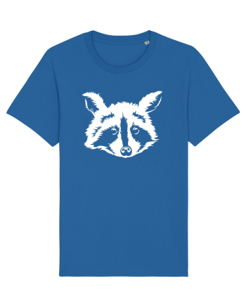 Raccoon Royal Blue