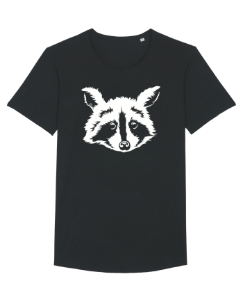Raccoon Black