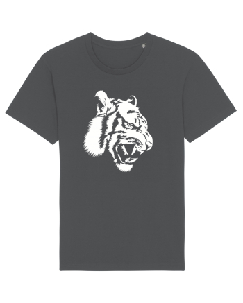 Tiger Anthracite