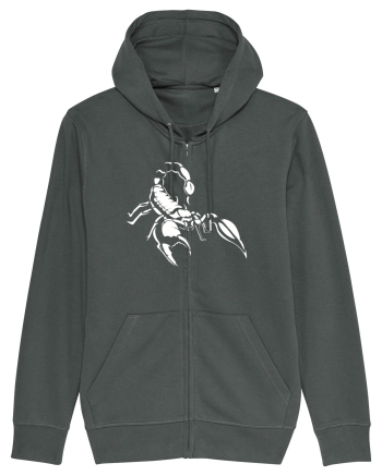 Scorpion Anthracite