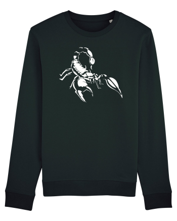 Scorpion Black