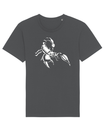 Scorpion Anthracite