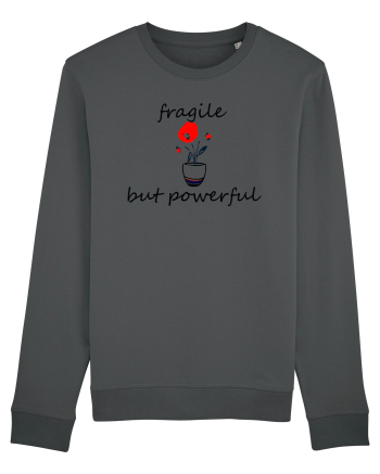 Fragile but powerful Anthracite