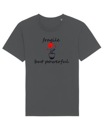 Fragile but powerful Anthracite