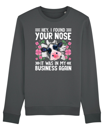 Hey, I found your nose, it was in my business again Anthracite