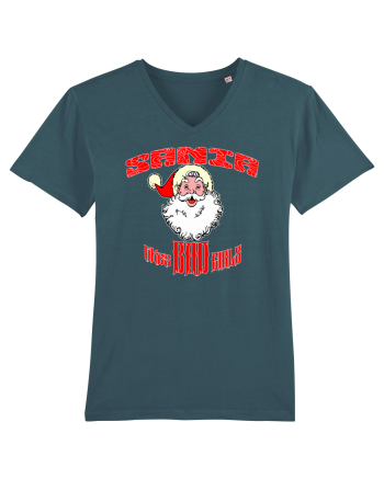 Santa likes BAD GIRLS Stargazer