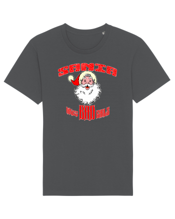 Santa likes BAD GIRLS Anthracite
