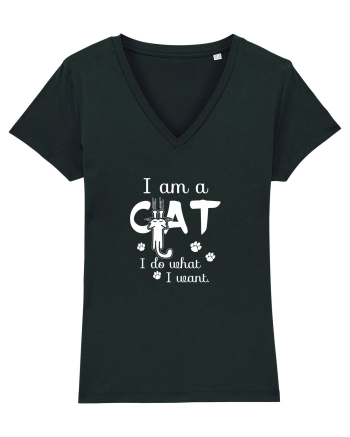 I am a Cat Black
