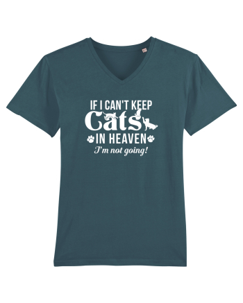 Keep cats in heaven Stargazer