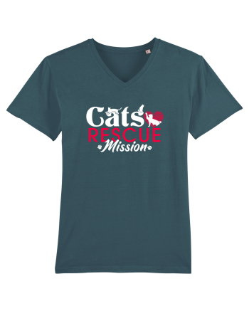 Cats rescue mission Stargazer