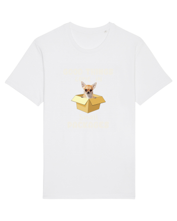 Small packages White