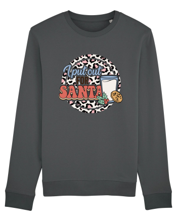 I PUT OUT FOR SANTA Anthracite