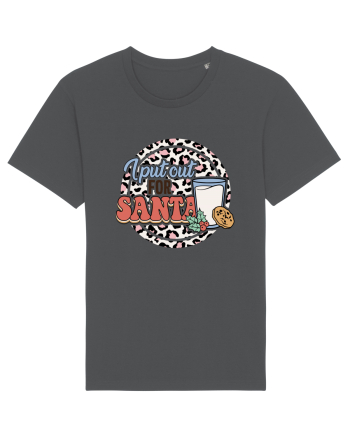 I PUT OUT FOR SANTA Anthracite