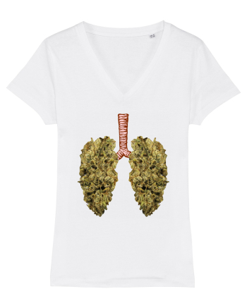 402 Lungs White