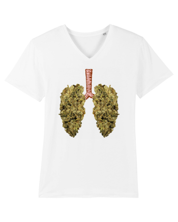 402 Lungs White