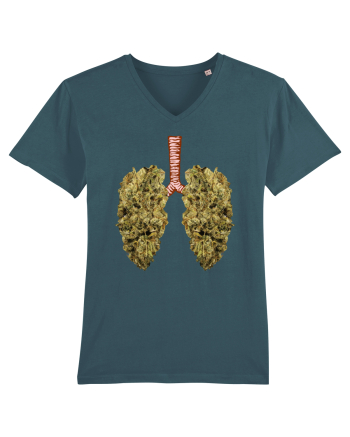 402 Lungs Stargazer