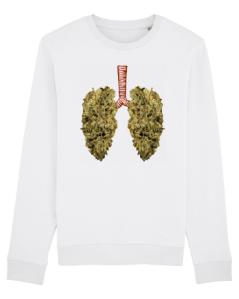 402 Lungs White