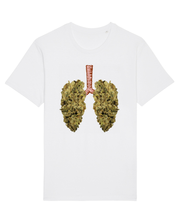 402 Lungs White