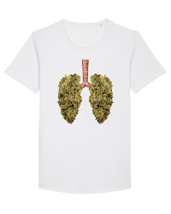 402 Lungs White