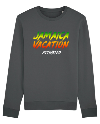 Jamaica vacation activated Anthracite