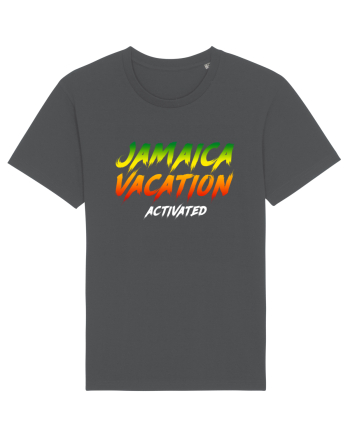 Jamaica vacation activated Anthracite