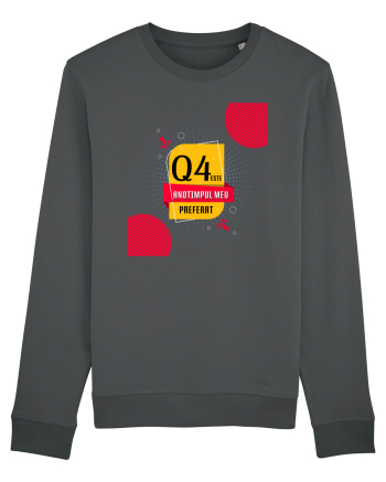 Q4 este anotimpul meu preferat Anthracite