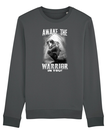 Warrior Anthracite