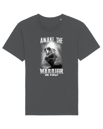 Warrior Anthracite