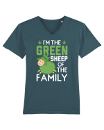 I'M THE GREEN SHEEP OF THE FAMILY Tricou mânecă scurtă guler V Bărbat Presenter