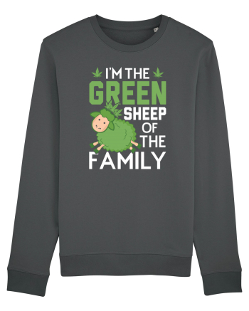 I'M THE GREEN SHEEP OF THE FAMILY Anthracite