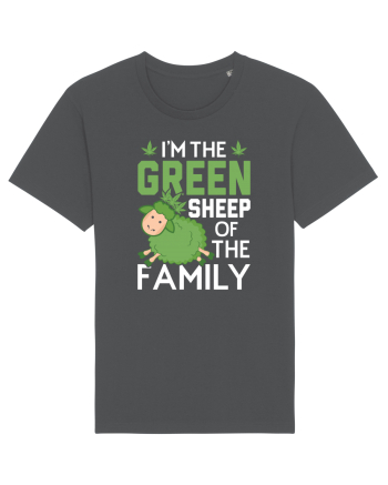 I'M THE GREEN SHEEP OF THE FAMILY Anthracite