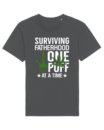 SURVIVING FATHERHOOD ONE PUFF AT A TIME Anthracite
