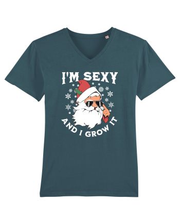 amuzant de Craciun - I'm sexy and I grow it  Stargazer