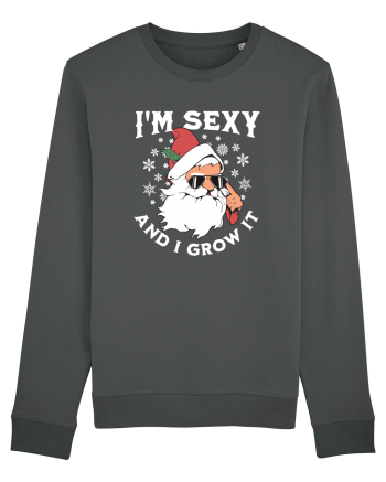 amuzant de Craciun - I'm sexy and I grow it  Anthracite