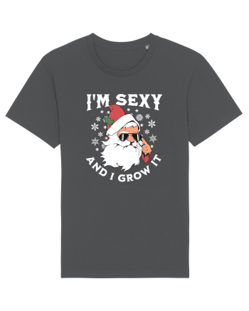 amuzant de Craciun - I'm sexy and I grow it  Anthracite