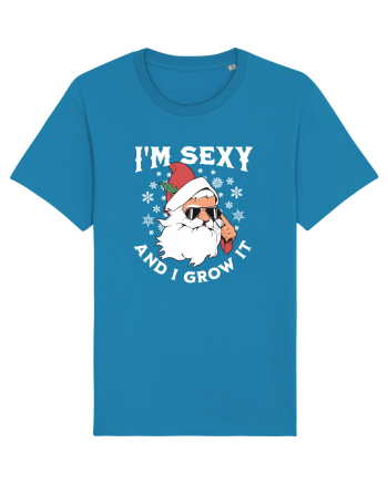 amuzant de Craciun - I'm sexy and I grow it  Azur
