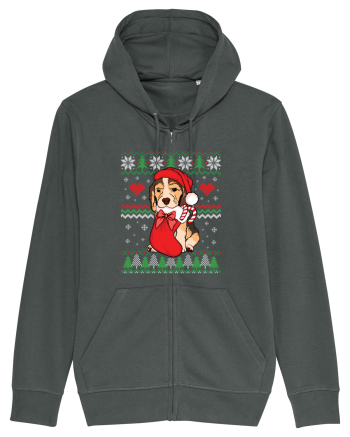 de Craciun cu caini - Beagle Anthracite