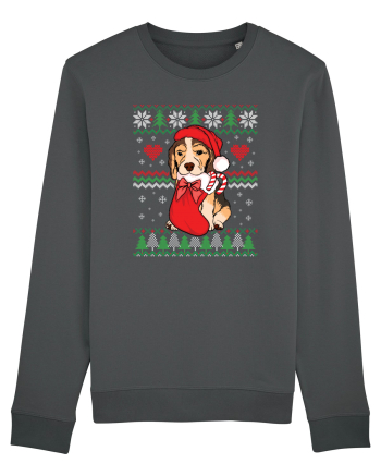 de Craciun cu caini - Beagle Anthracite