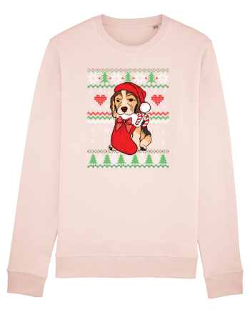de Craciun cu caini - Beagle Candy Pink