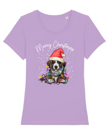 de Craciun cu luminite - Border Collie Lavender Dawn