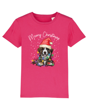 de Craciun cu luminite - Border Collie Raspberry