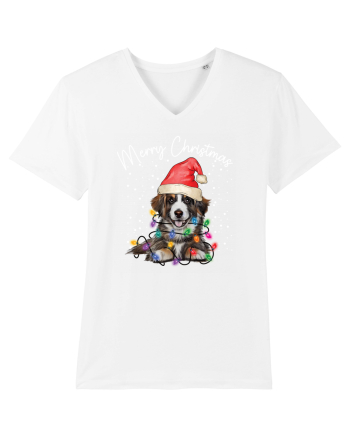 de Craciun cu luminite - Border Collie White