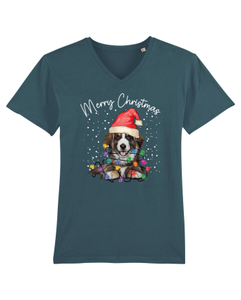 de Craciun cu luminite - Border Collie Stargazer