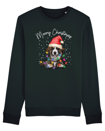 de Craciun cu luminite - Border Collie Black
