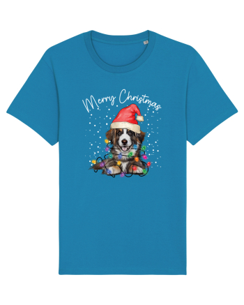 de Craciun cu luminite - Border Collie Azur
