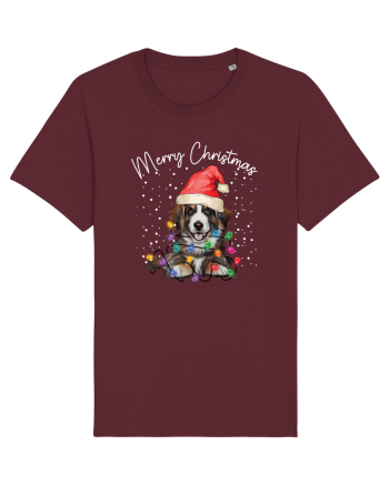 de Craciun cu luminite - Border Collie Burgundy