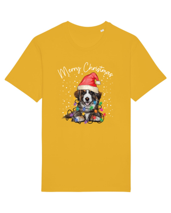 de Craciun cu luminite - Border Collie Spectra Yellow