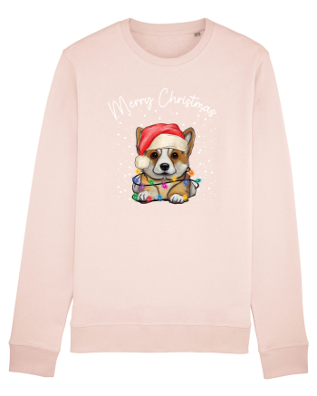 de Craciun cu luminite - Corgi Candy Pink