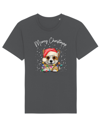de Craciun cu luminite - Corgi Anthracite